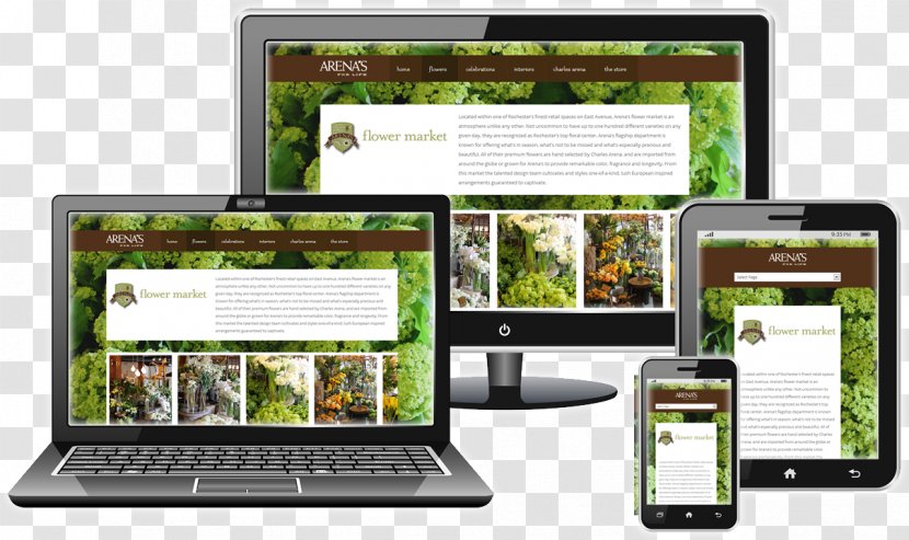 Responsive Web Design Transparent PNG