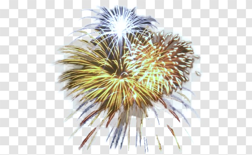 New Year's Eve - Sparkler - Festival Years Transparent PNG