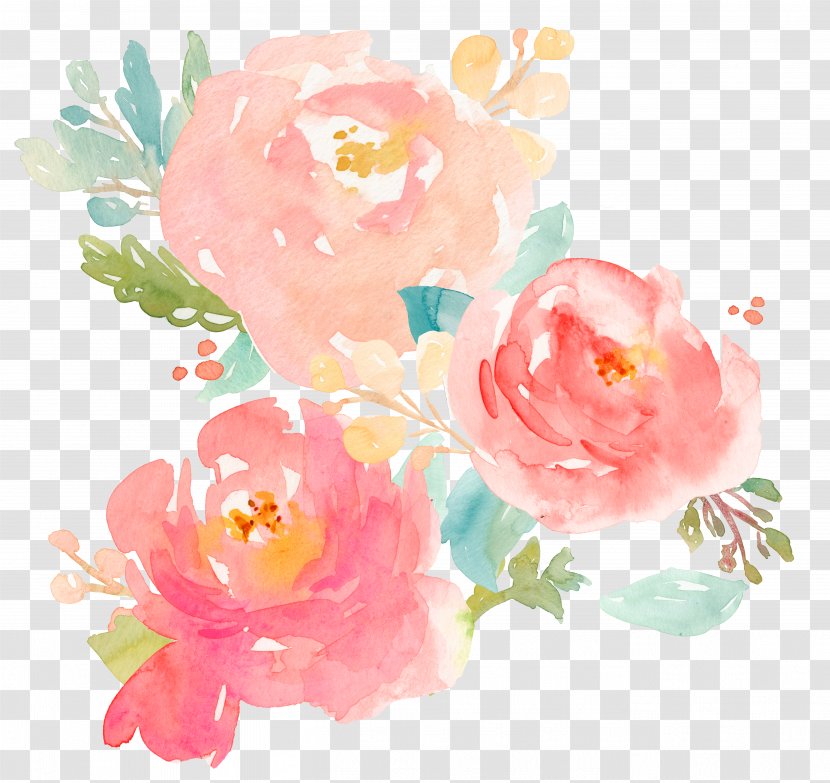 Watercolor Painting Peony Clip Art - Rose Family - Bouquet Transparent PNG