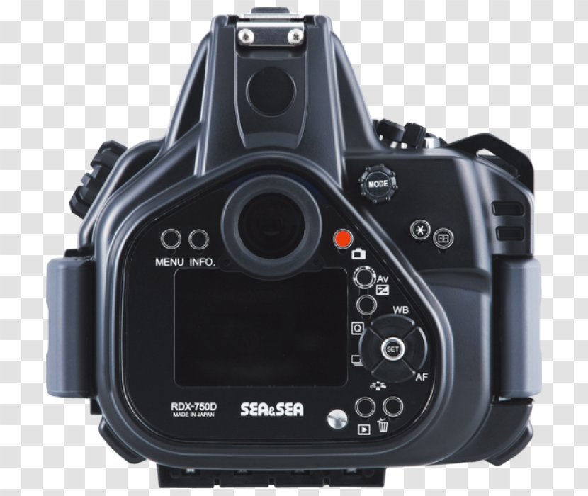 Digital SLR Canon EOS 750D 800D 300D 650D - Camera Lens Transparent PNG