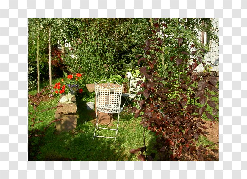 Backyard Tree Landscaping Lawn Shrub - Courtyard Transparent PNG