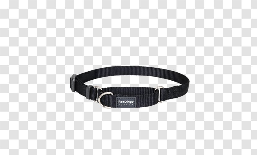 Dog Collar Martingale Leash - Belt Buckle Transparent PNG