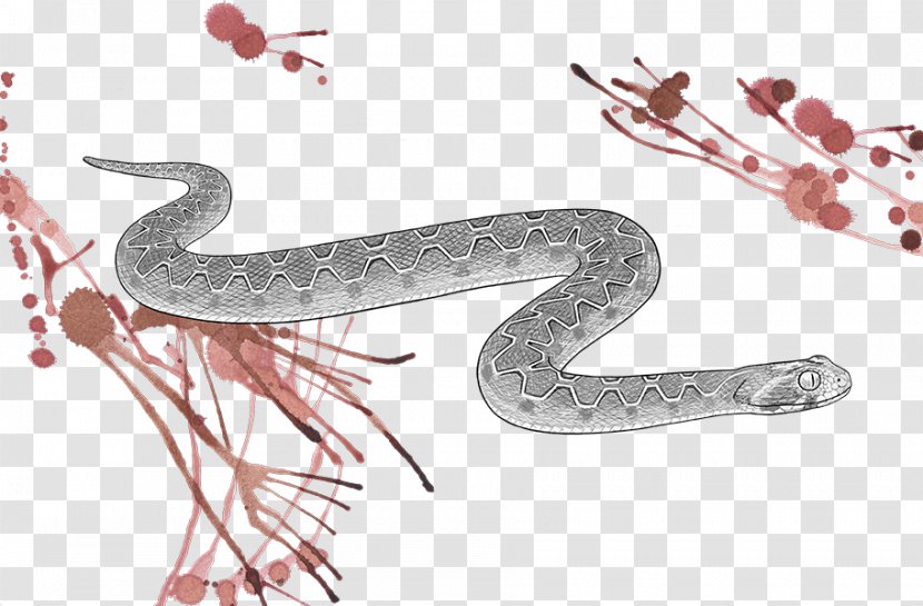Snake Vipers Echis Carinatus Tirofiban Venom - Medicine Transparent PNG