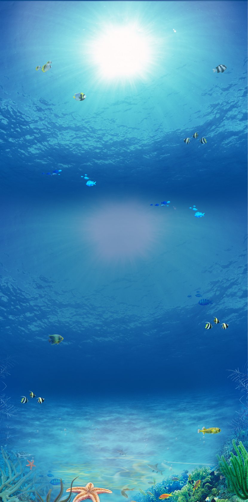 Sea Fish Blue - Sky Transparent PNG