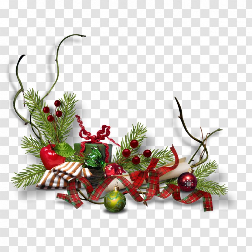 Hand-painted Christmas Decorations - Fruit - Plant Transparent PNG
