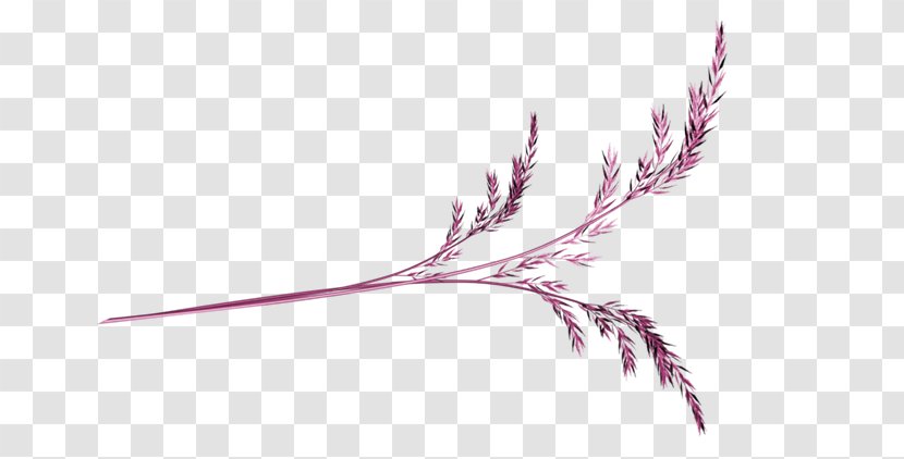 Purple Plum Blossom - Plant - A Wheat Transparent PNG