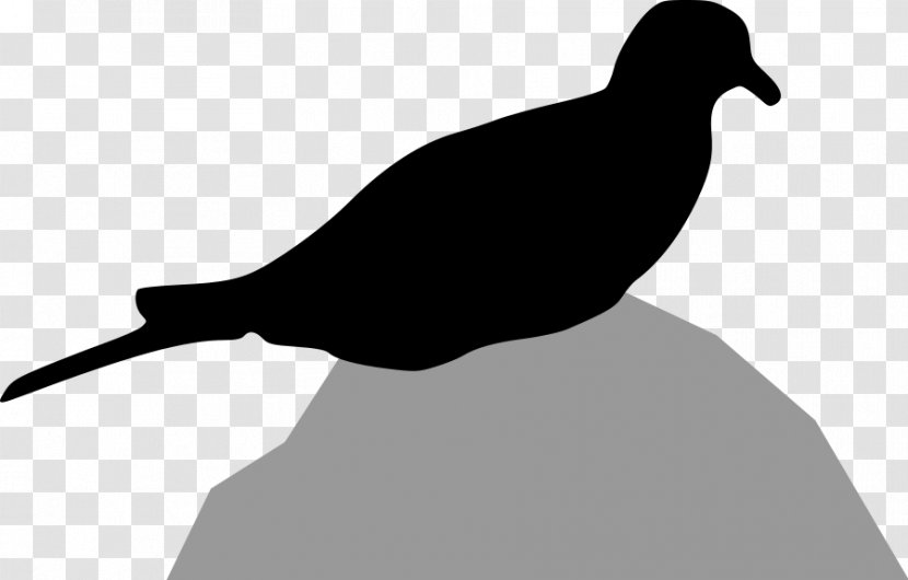 Columbidae Bird Mourning Dove Silhouette Clip Art - Black And White - Free Clipart Transparent PNG