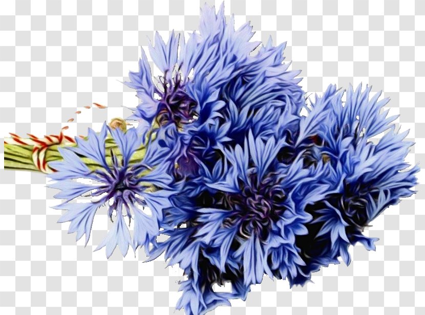 Flower Bouquet Floral Design Desktop Wallpaper Cornflower Transparent PNG