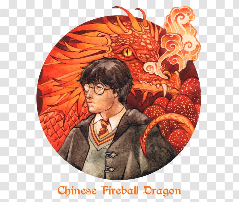 Chinese Fireball Dragon Fictional Universe Of Harry Potter China - Legendary Creature Transparent PNG