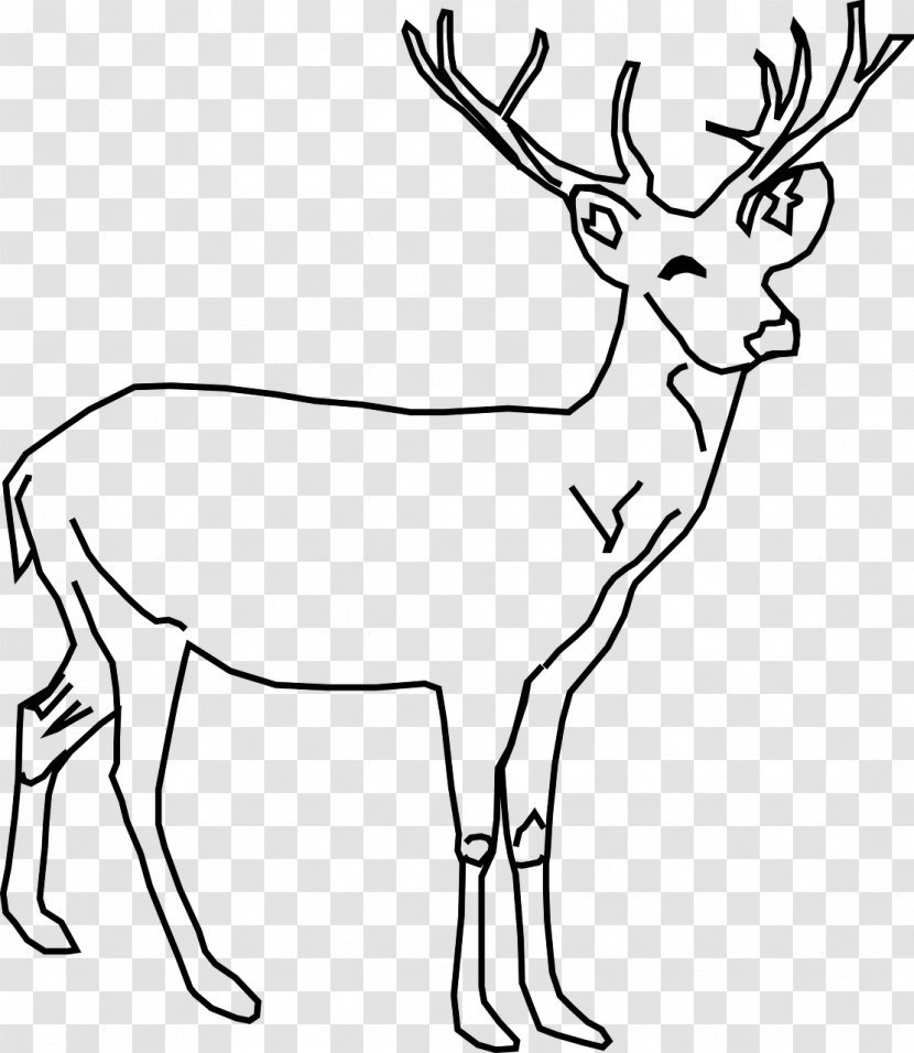 White-tailed Deer Red Drawing Clip Art - Horn - Illustration Transparent PNG