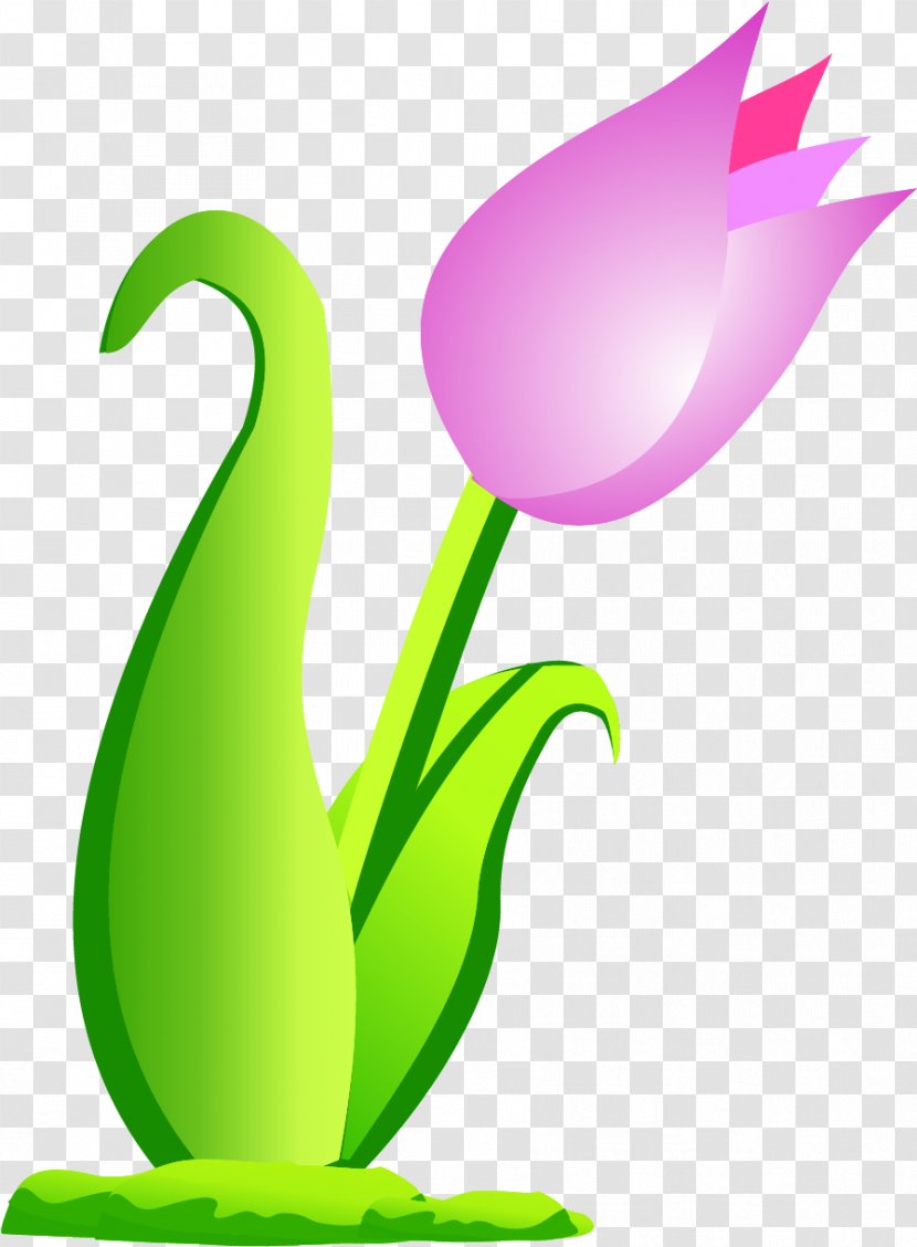 Vector Graphics Kool Kids Image Euclidean - Green - Mothers Day Background Cartoon Flower Transparent PNG