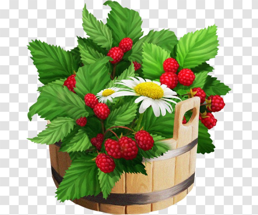 Strawberry Frutti Di Bosco Raspberry Fruit - Plant - Hand-painted Transparent PNG