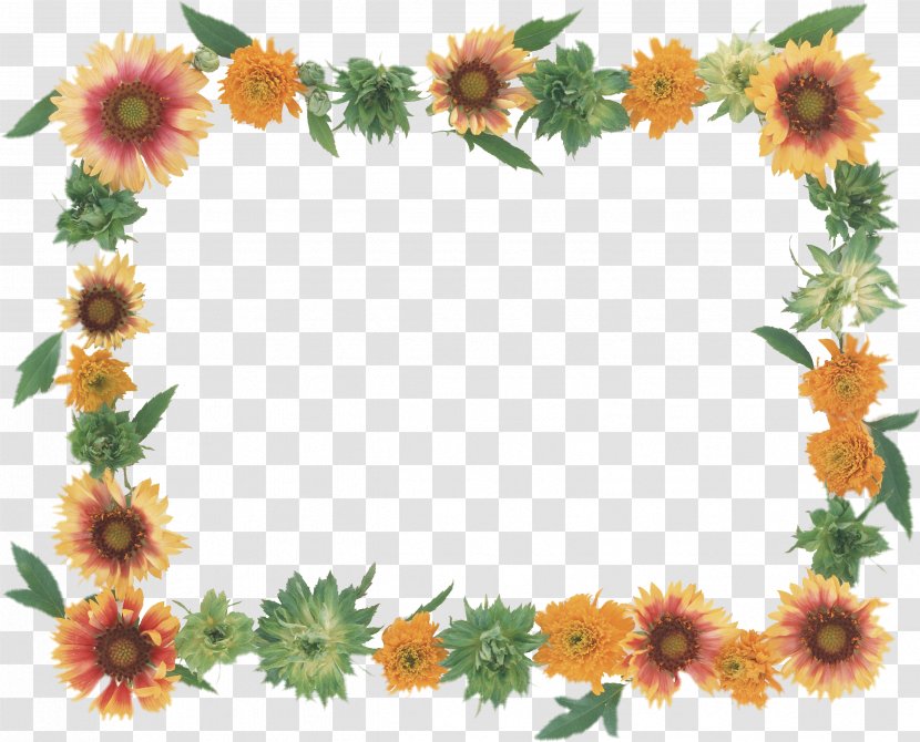 Picture Frames Flower Paper Photography Floral Design - Pin Transparent PNG