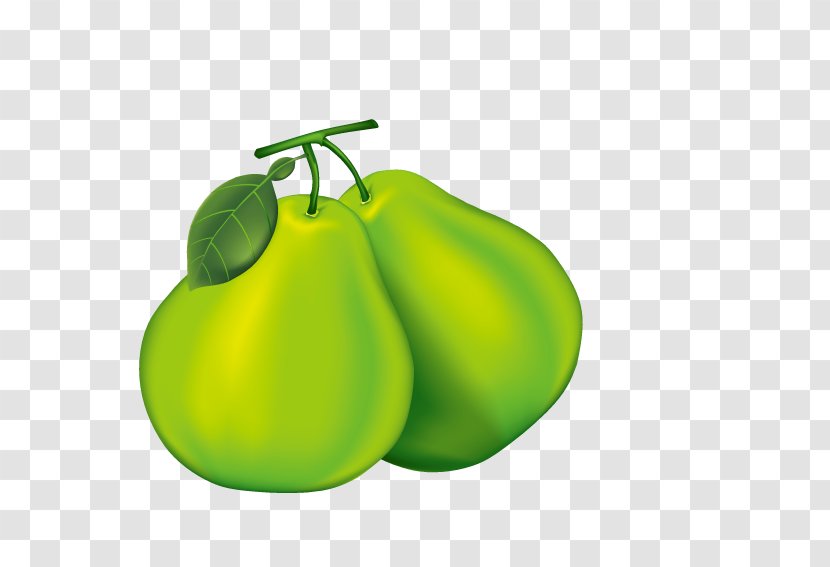 Pear Pomelo Cartoon - Green Pears Transparent PNG