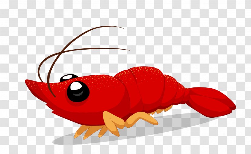 Crayfish Cartoon Illustration - Photography - Vector Lobster Material Transparent PNG