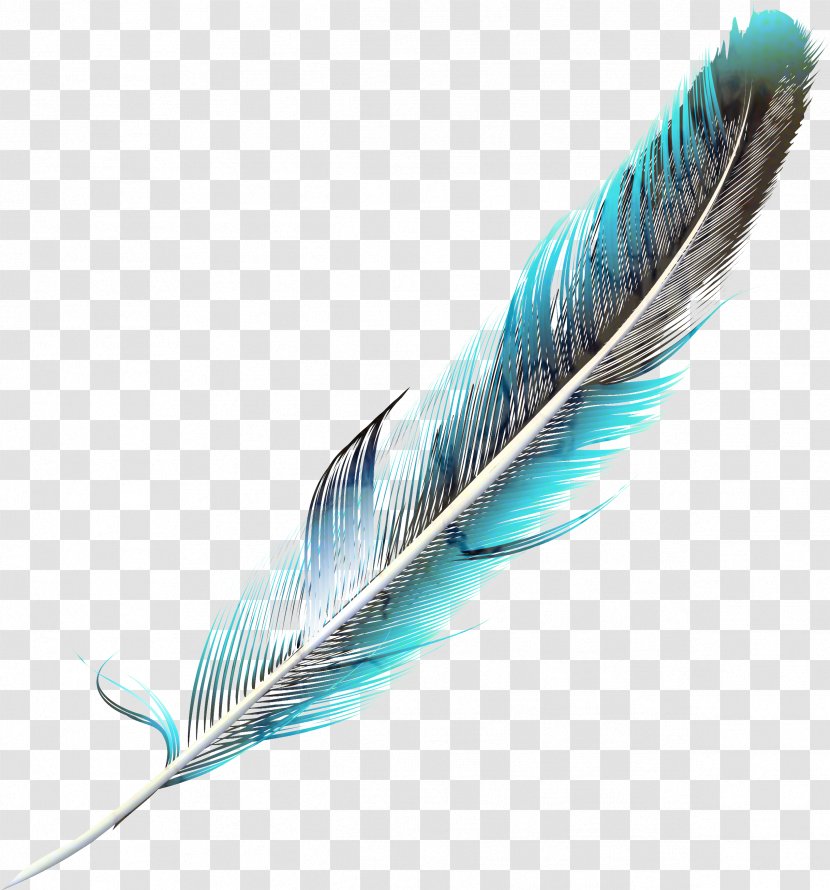 Writing Cartoon - Transparent Feather - Wing Implement Transparent PNG