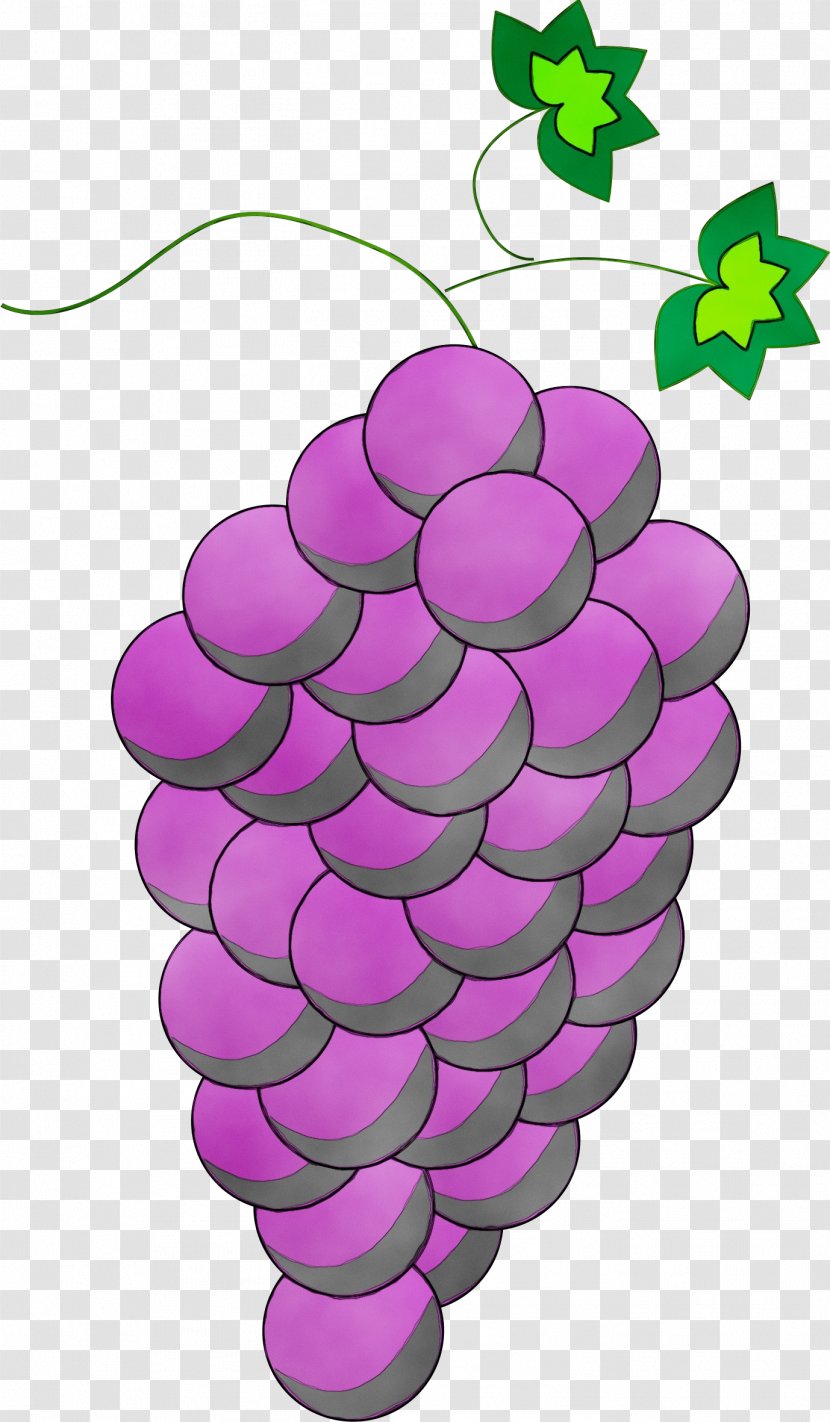 Grape Purple - Seedless Fruit Transparent PNG