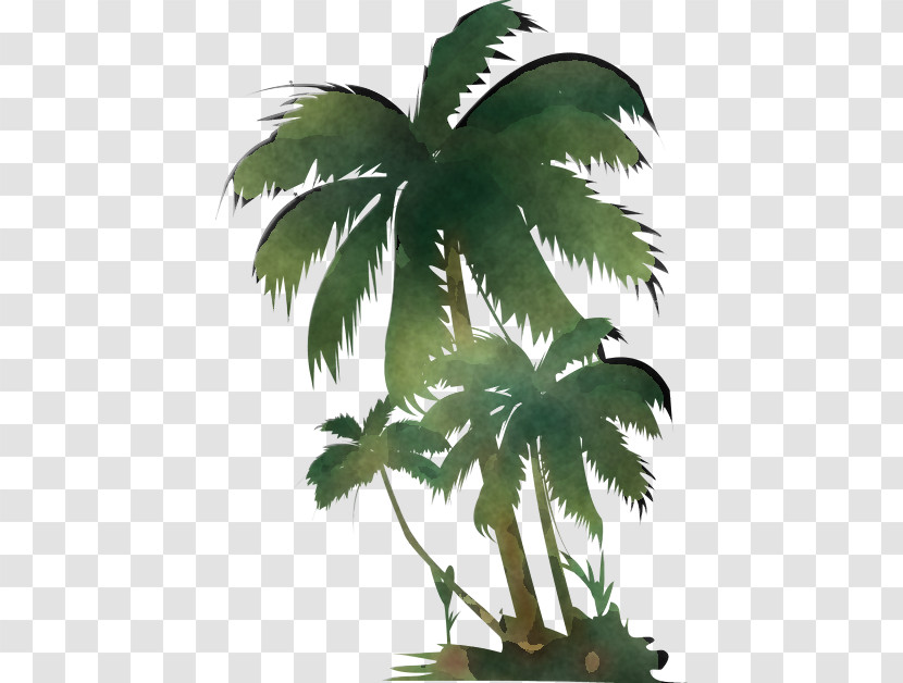 Coconut Transparent PNG