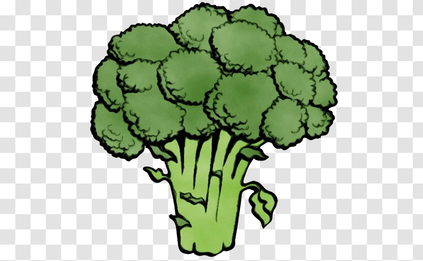 Broccoli Leaf Vegetable Plant Vegetable Transparent PNG