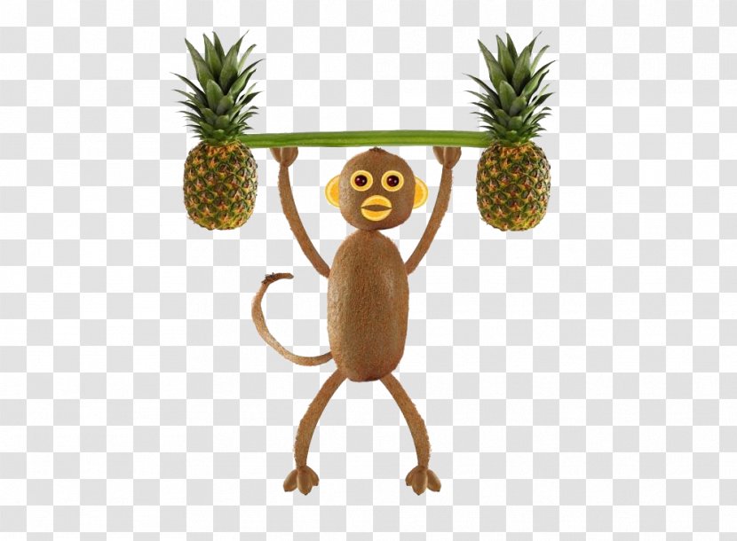 Kiwifruit Vegetable Stock Photography Food - Tree - Pineapple Monkey Transparent PNG