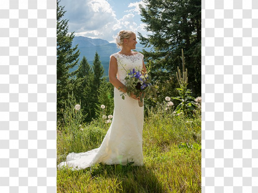 Wedding Dress Bride Photo Shoot - Plantation Transparent PNG