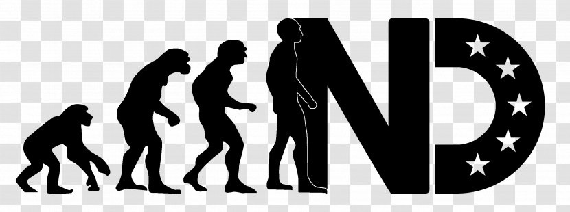 Chimpanzee Human Evolution Homo Sapiens Hominini - W Transparent PNG