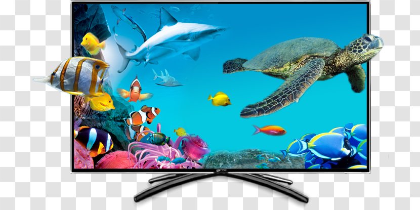 LED-backlit LCD High-definition Television Light-emitting Diode Set - Underwater - Lcd Tv Transparent PNG