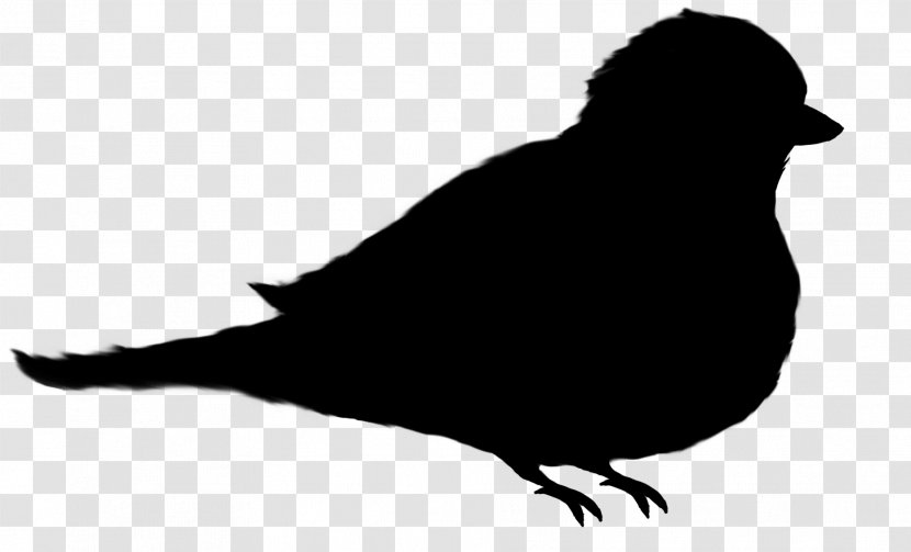 Beak Fauna Silhouette Font - Blackbird Transparent PNG
