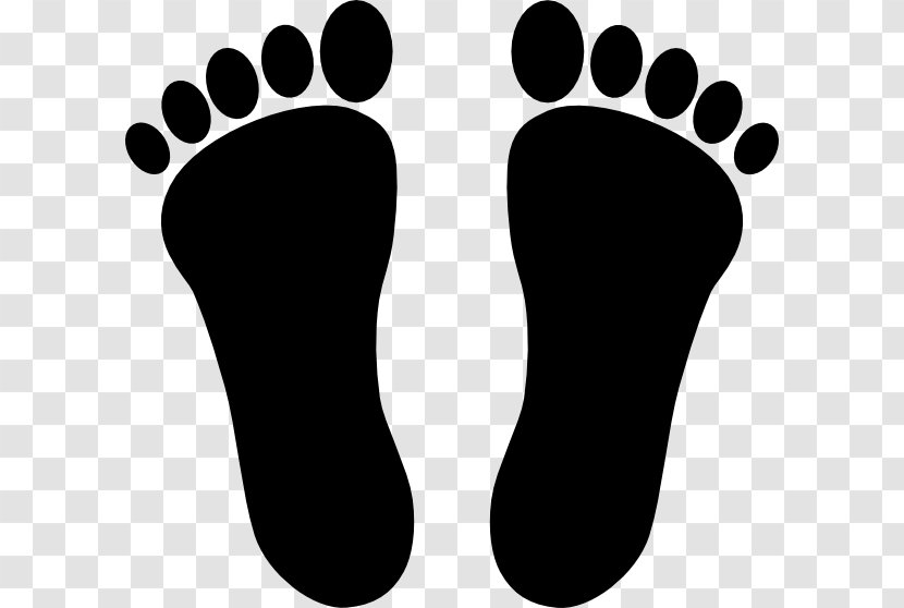 Dinosaur - Footprint - Sock Toe Transparent PNG