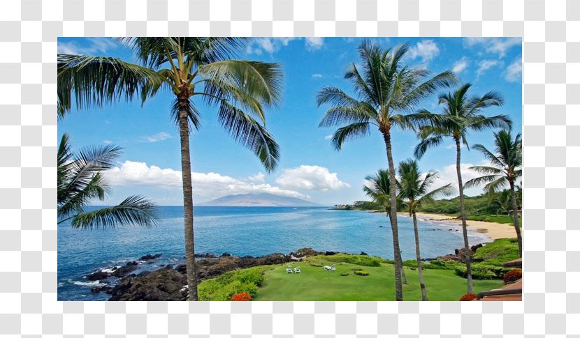 Wailea, Hawaii Makena, Makena Surf Chang's Beach Hotel - Palm Tree Transparent PNG