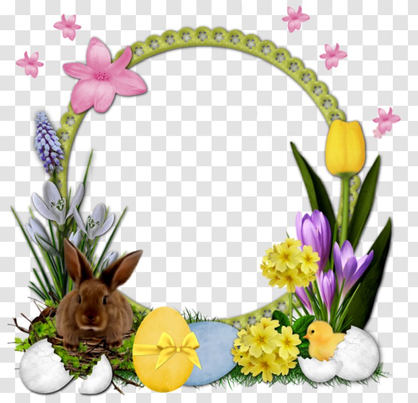 Picture Frames Cranberry Easter - Petal Transparent PNG