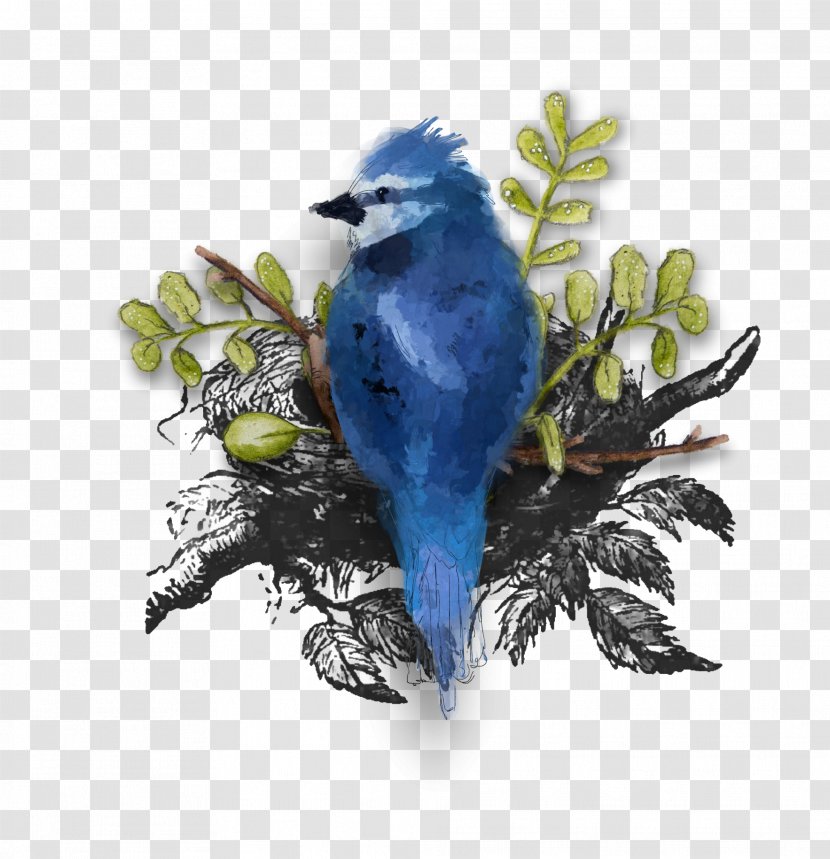 Bird Mahjong Eurasian Tree Sparrow - Blue Jay Transparent PNG