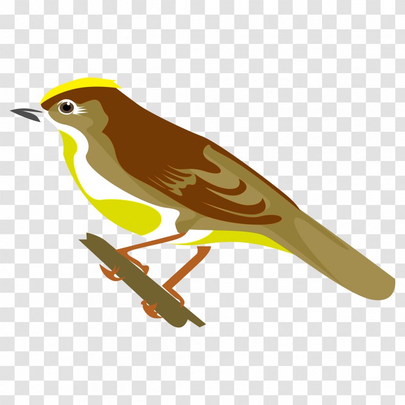 Eurasian Golden Oriole Finches Lark Common Nightingale Old World - Feather Transparent PNG
