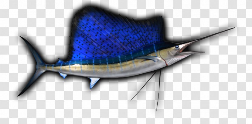 Swordfish - Sailfish Transparent PNG