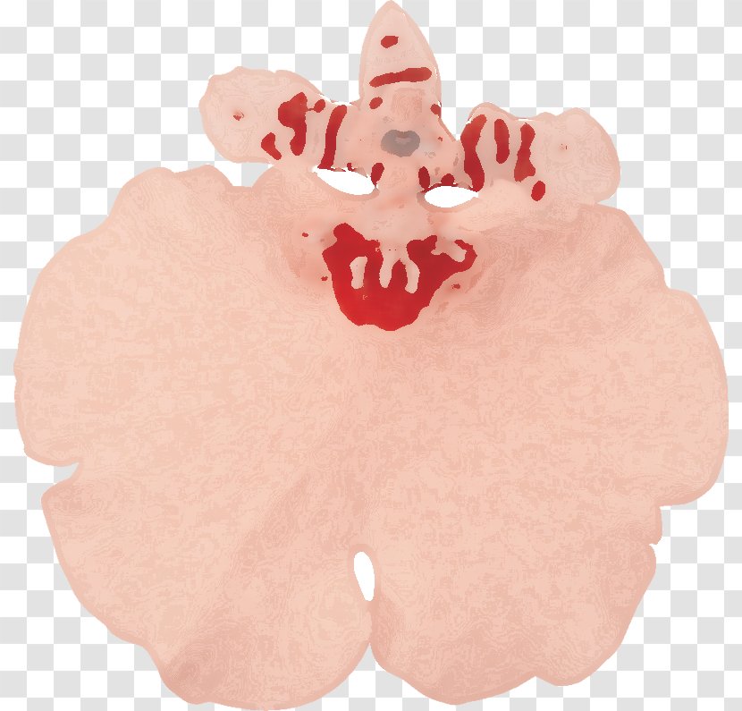 Pink M RTV - Petal - Lust Transparent PNG