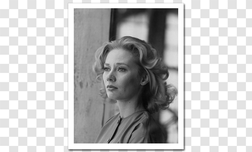 Candace Hilligoss Carnival Of Souls The Odyssey And Idiocy, Marriage To An Actor, A Memoir - Chin - Summer Transparent PNG