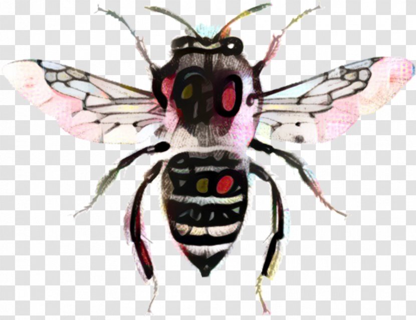 Cartoon Bee - Fly - Wing Wasp Transparent PNG