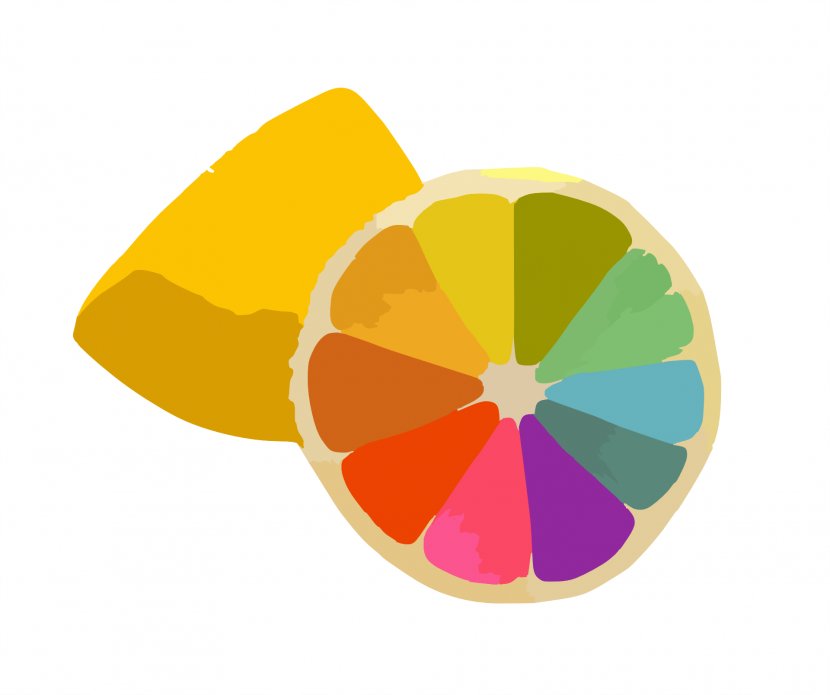 Color Wheel Scheme Theory - Colorful Orange Petals Transparent PNG