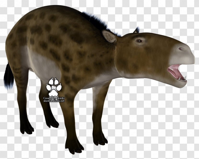 Eurohippus Propalaeotherium Ungulate Animal Extinction - Applauded Transparent PNG