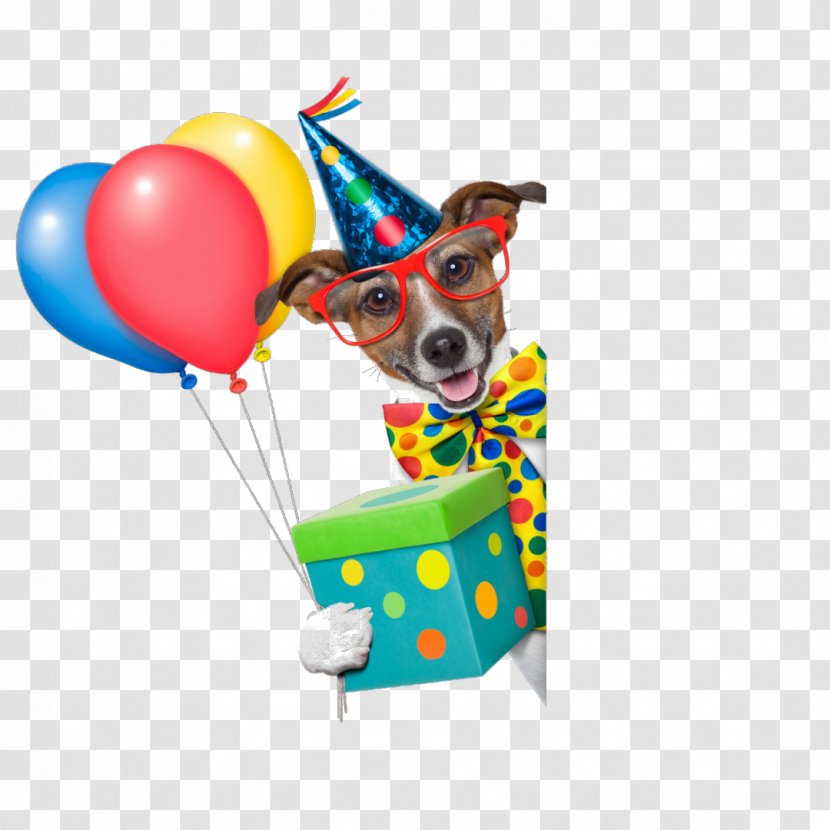 Dachshund Stock Photography Birthday IStock Image - Dog With Balloons Transparent PNG