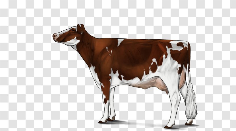 Herding Dog Dairy Cattle - Like Mammal Transparent PNG