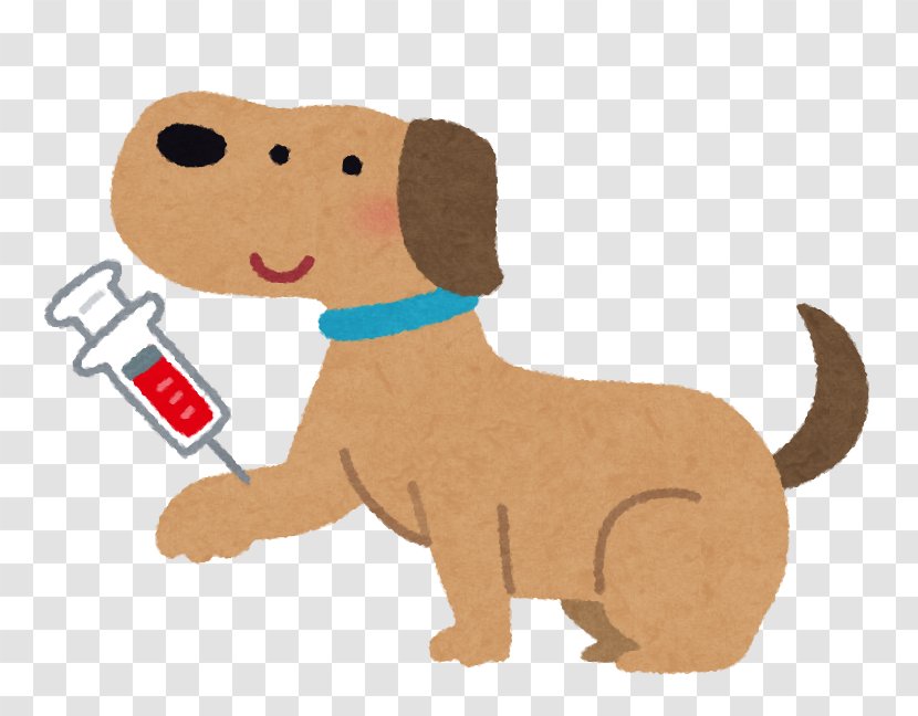 Dog Cat Veterinarian Blood Test Filariasis - Puppy Love Transparent PNG