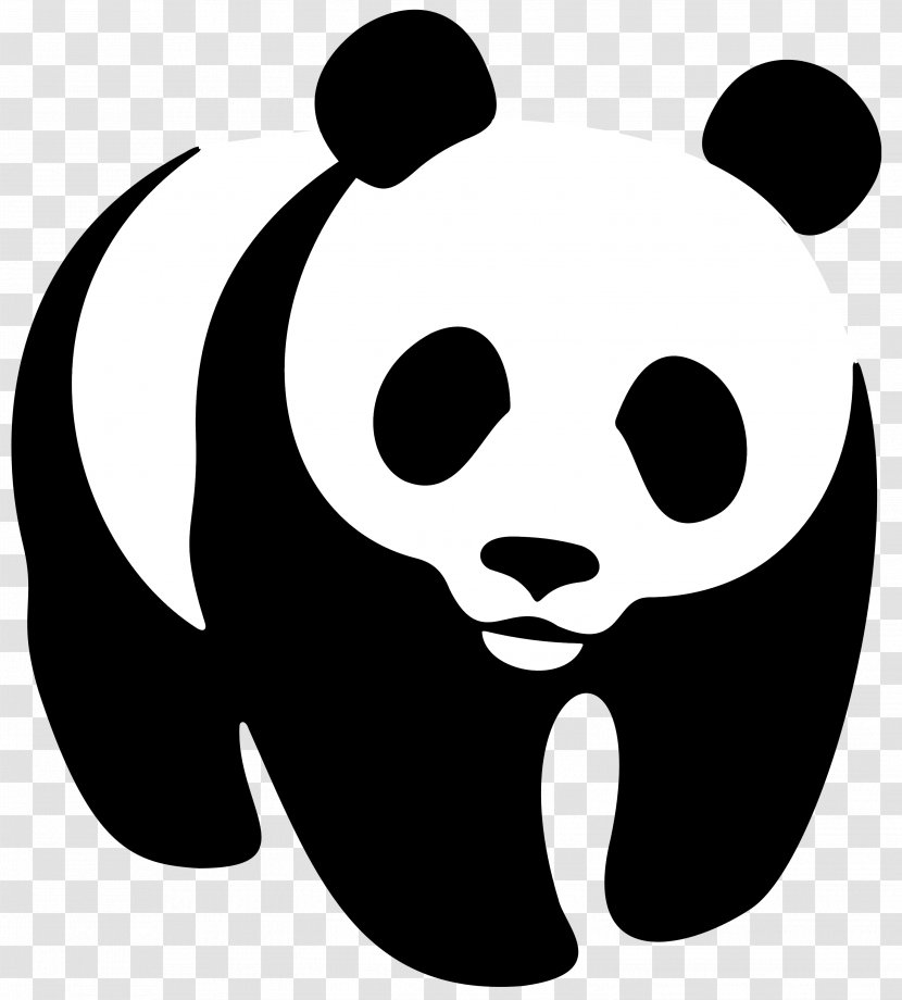 World Wide Fund For Nature Australia Natural Environment Wildlife Day Organization - Panda Cute Transparent PNG