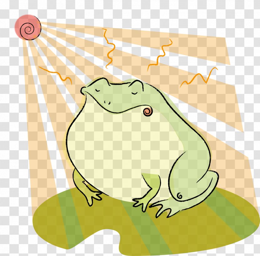 Tree Frog True Clip Art Illustration Reptile - Vertebrate Transparent PNG