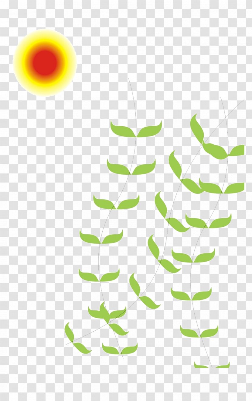 Willow Wicker - Yellow - Sun And Batt Transparent PNG