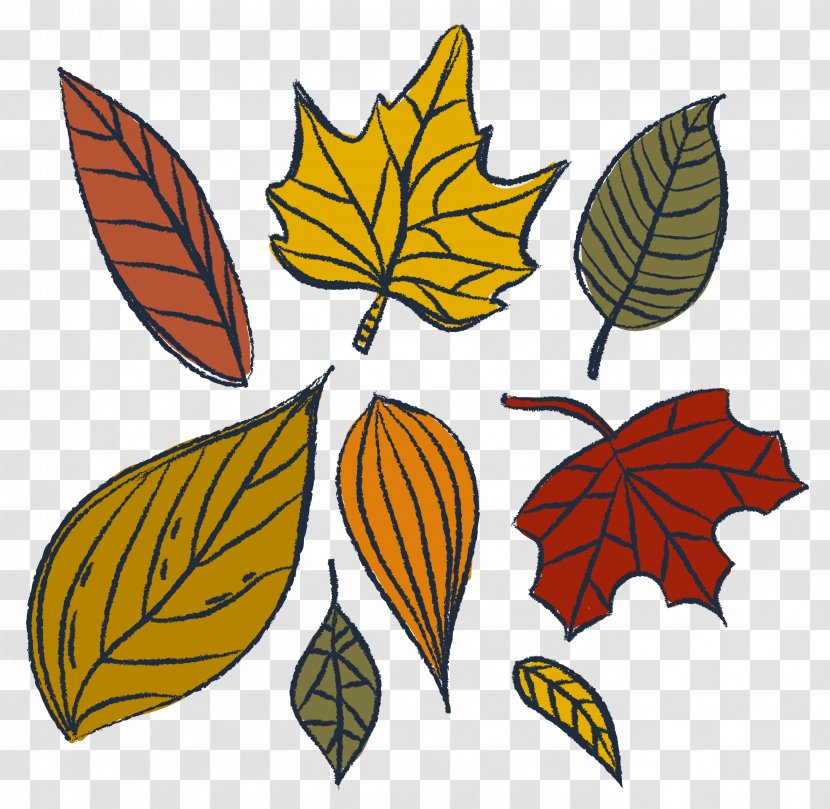 Leaf Watercolor Painting Drawing - Symmetry - Vector Autumn Leaves Transparent PNG