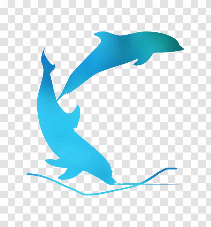 Wedding Invitation Porto Montenegro Gift Travel - Hammerhead - Bottlenose Dolphin Transparent PNG