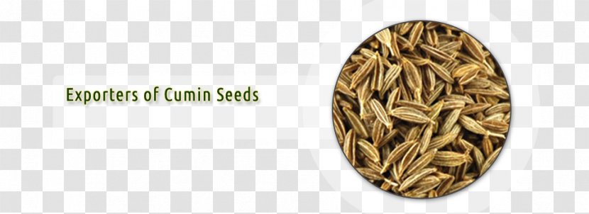 Cumin Export Ingredient Seed - Sales - Sesame Transparent PNG