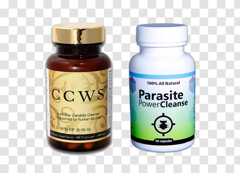 Detoxification Parasitism Candidiasis Human Parasite Intestinal Infection - Mycosis - Health Transparent PNG