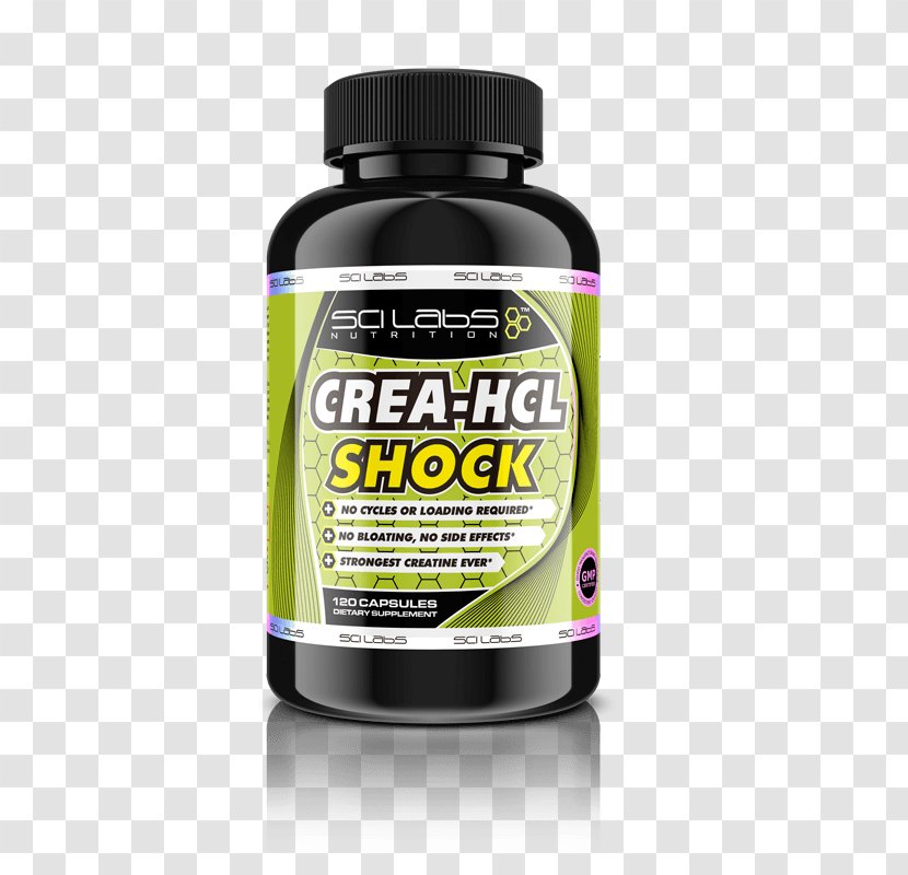 Dietary Supplement Creatine Supplements Bodybuilding - Sports Nutrition Transparent PNG